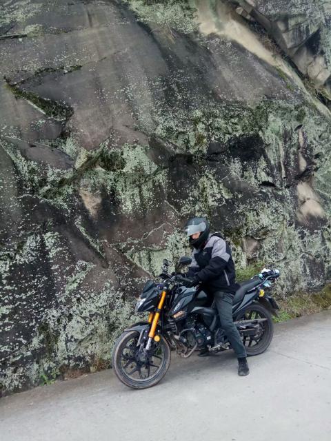 嶽淇