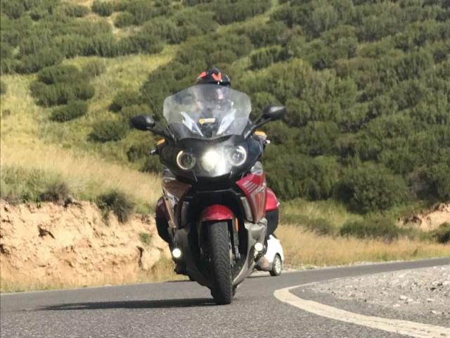 山狼
