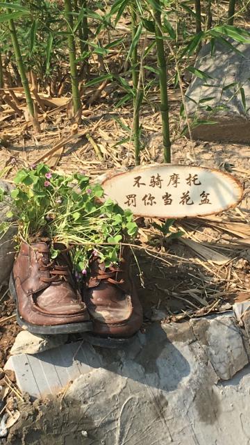 未命名图片