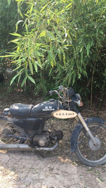 未命名图片