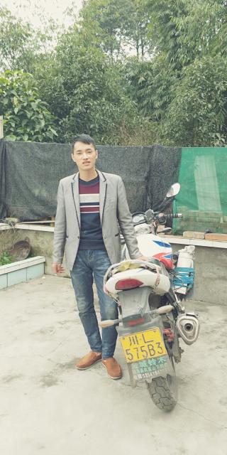 繁花落尽谁倾城