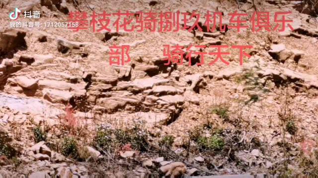 攀枝花骑捌玖机车俱乐部骑行天下