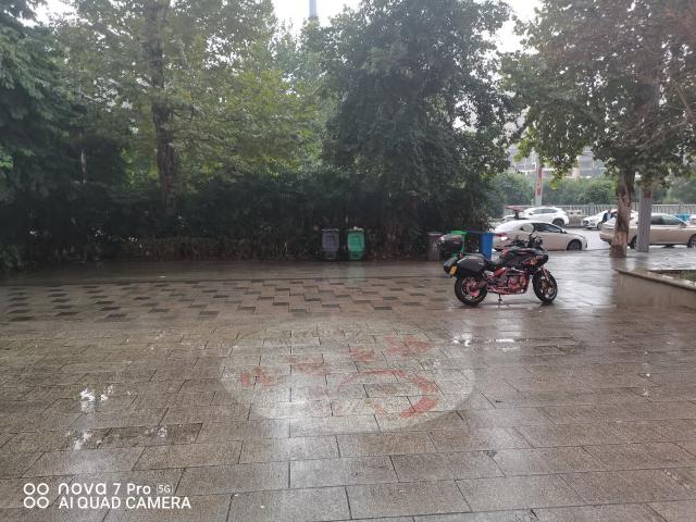 门口停车区免费停车