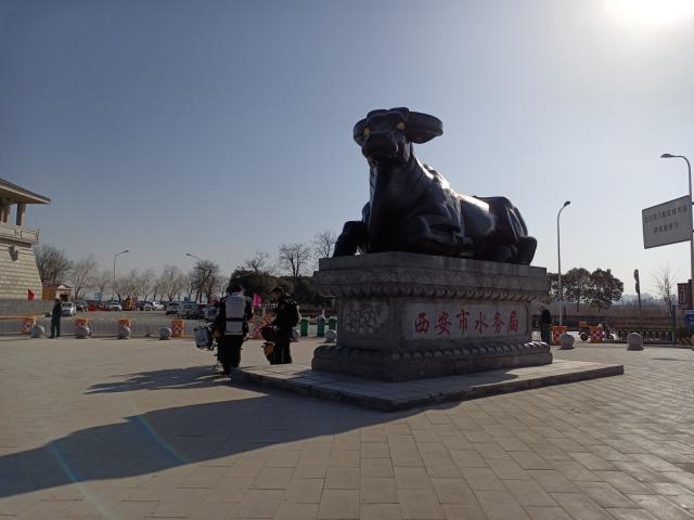 未命名图片