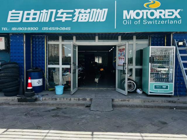 新疆哈密市自由机车猫咖