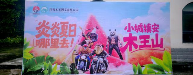 未命名图片