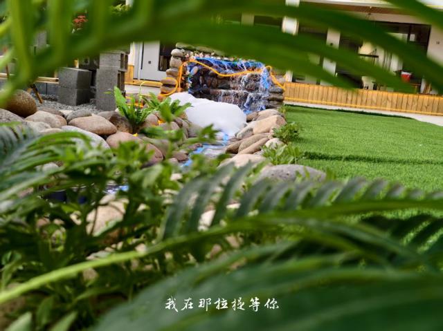 未命名图片
