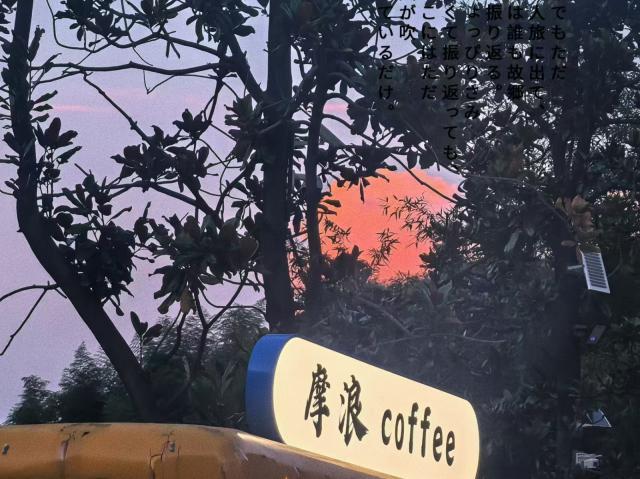 未命名图片