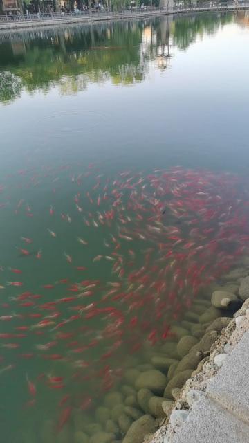 本地风景