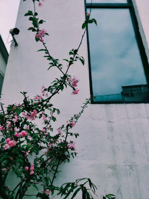 驿站驿站庭院